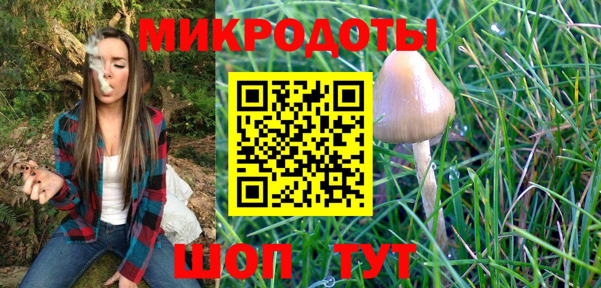 Галлюциногенные грибы Psilocybine cubensis  Псилоцибиновые грибы мухоморы  Миллерово  Вход с VPN 