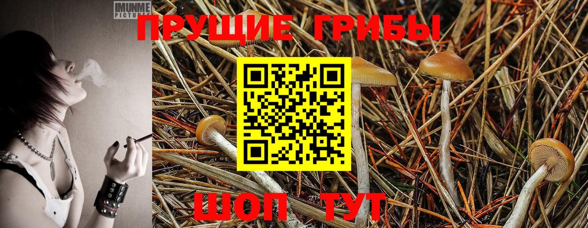 Галлюциногенные грибы MAGIC MUSHROOMS Миллерово